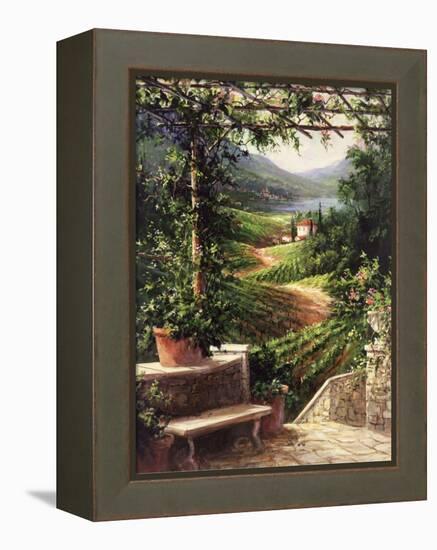 Chianti Vineyard-Art Fronckowiak-Framed Stretched Canvas