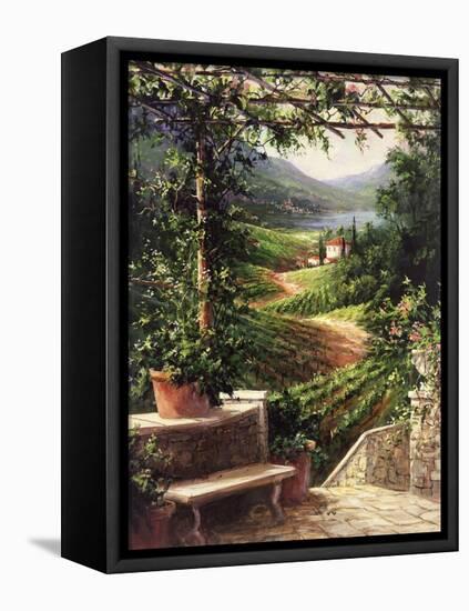 Chianti Vineyard-Art Fronckowiak-Framed Stretched Canvas