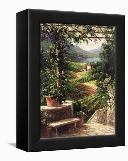 Chianti Vineyard-Art Fronckowiak-Framed Stretched Canvas