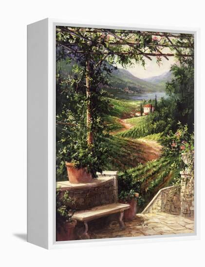 Chianti Vineyard-Art Fronckowiak-Framed Stretched Canvas