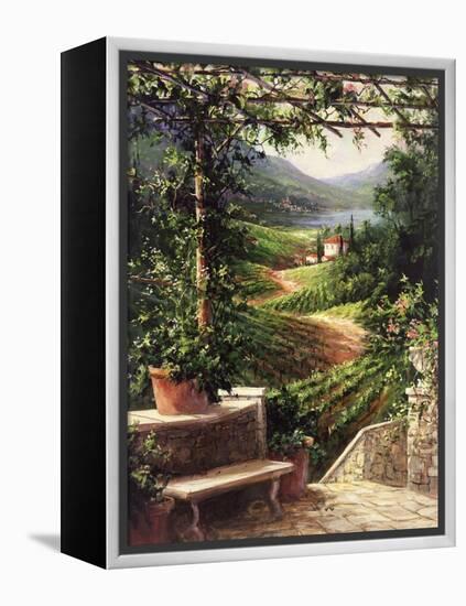 Chianti Vineyard-Art Fronckowiak-Framed Stretched Canvas