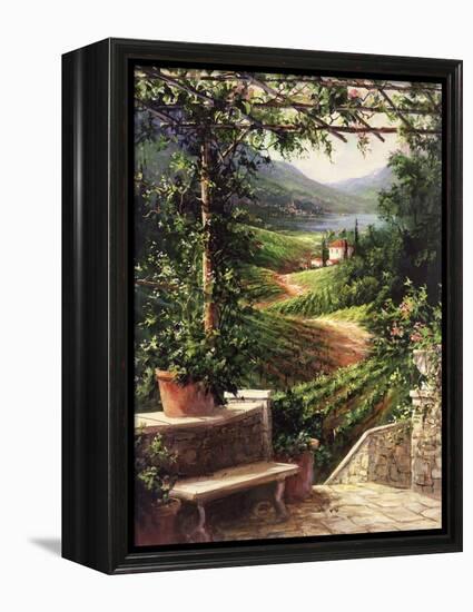 Chianti Vineyard-Art Fronckowiak-Framed Stretched Canvas