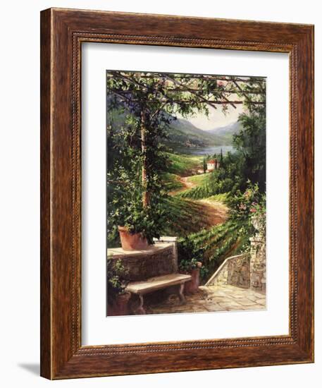 Chianti Vineyard-Art Fronckowiak-Framed Art Print