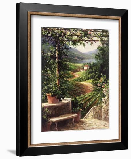 Chianti Vineyard-Art Fronckowiak-Framed Art Print