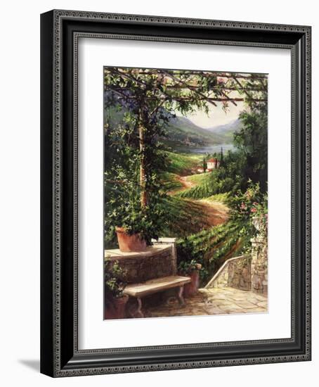 Chianti Vineyard-Art Fronckowiak-Framed Art Print