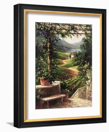 Chianti Vineyard-Art Fronckowiak-Framed Art Print