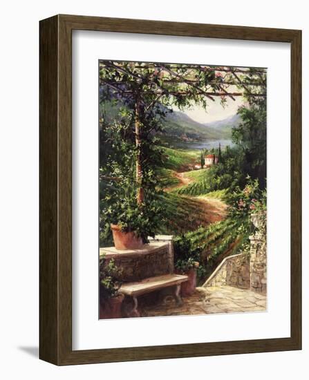 Chianti Vineyard-Art Fronckowiak-Framed Art Print