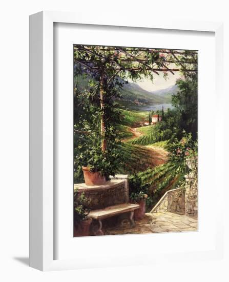 Chianti Vineyard-Art Fronckowiak-Framed Art Print