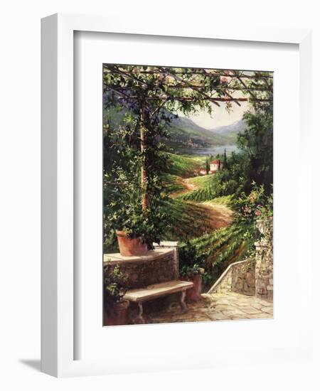 Chianti Vineyard-Art Fronckowiak-Framed Art Print