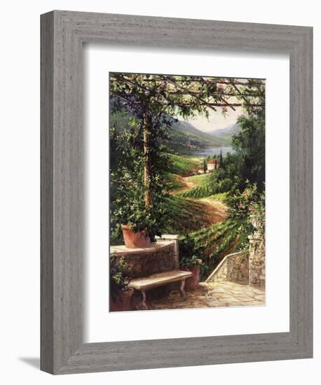 Chianti Vineyard-Art Fronckowiak-Framed Premium Giclee Print