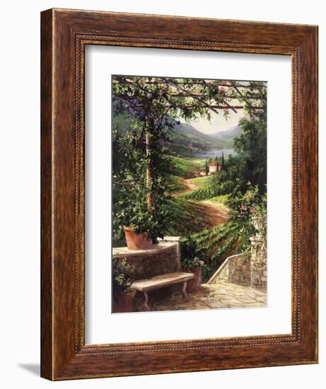 Chianti Vineyard-Art Fronckowiak-Framed Premium Giclee Print