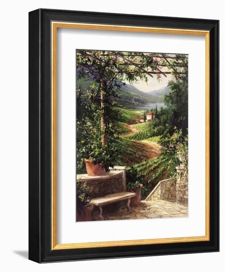 Chianti Vineyard-Art Fronckowiak-Framed Premium Giclee Print