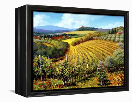Chianti Vineyards-Michael Swanson-Framed Stretched Canvas