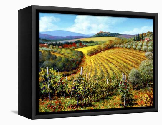 Chianti Vineyards-Michael Swanson-Framed Stretched Canvas