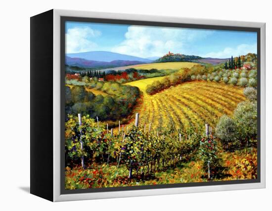 Chianti Vineyards-Michael Swanson-Framed Stretched Canvas