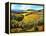 Chianti Vineyards-Michael Swanson-Framed Stretched Canvas