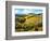 Chianti Vineyards-Michael Swanson-Framed Art Print