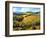 Chianti Vineyards-Michael Swanson-Framed Art Print