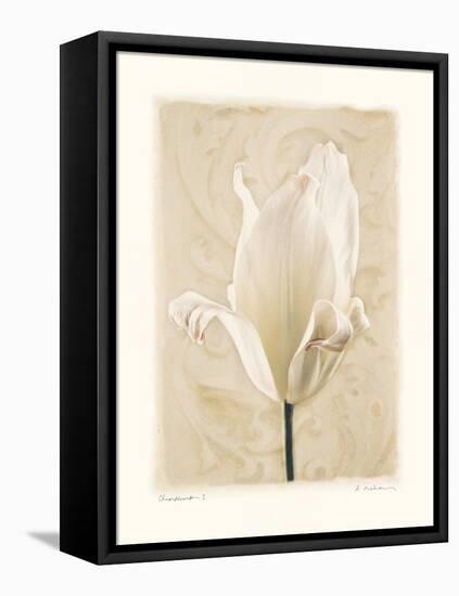 Chiaroscuro I-Amy Melious-Framed Stretched Canvas