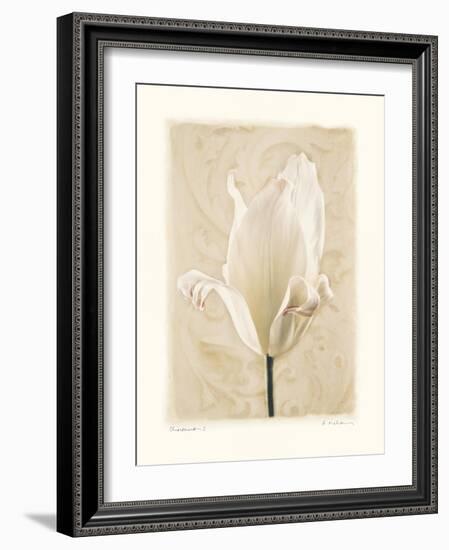 Chiaroscuro I-Amy Melious-Framed Art Print