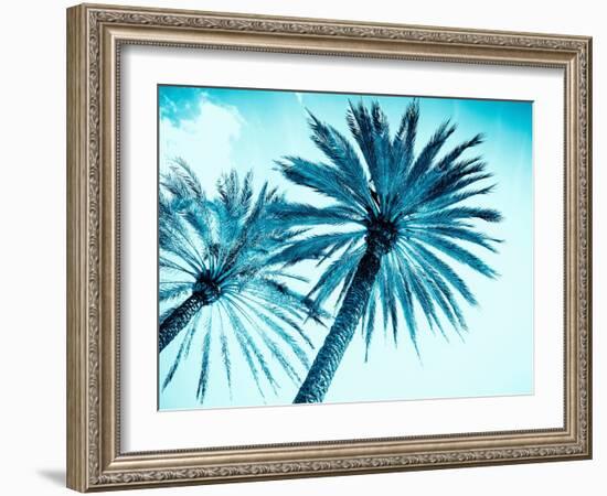 Chic Palms-Tai Prints-Framed Photographic Print