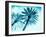 Chic Palms-Tai Prints-Framed Photographic Print