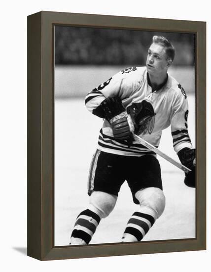 Chicago Black Hawk Ice Hockey Player Bobby Hull During Game-Art Rickerby-Framed Premier Image Canvas