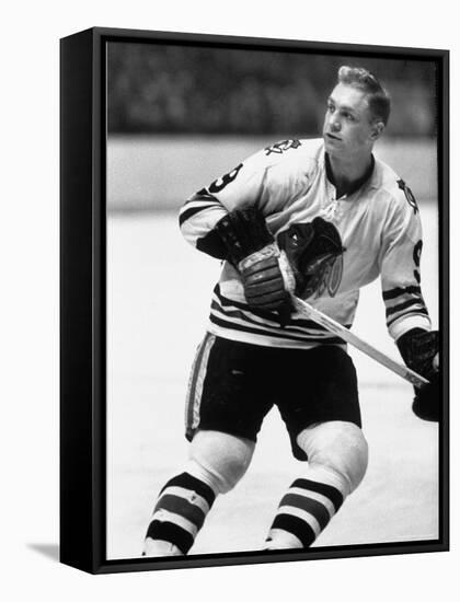 Chicago Black Hawk Ice Hockey Player Bobby Hull During Game-Art Rickerby-Framed Premier Image Canvas