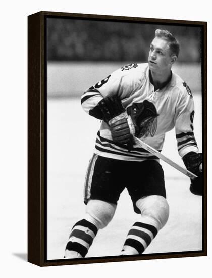 Chicago Black Hawk Ice Hockey Player Bobby Hull During Game-Art Rickerby-Framed Premier Image Canvas