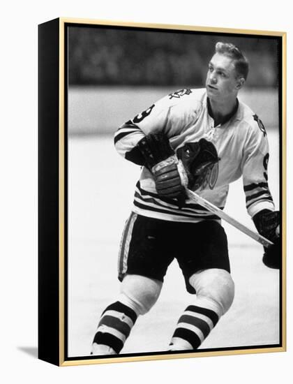 Chicago Black Hawk Ice Hockey Player Bobby Hull During Game-Art Rickerby-Framed Premier Image Canvas