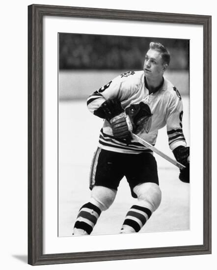 Chicago Black Hawk Ice Hockey Player Bobby Hull During Game-Art Rickerby-Framed Premium Photographic Print