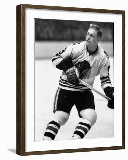 Chicago Black Hawk Ice Hockey Player Bobby Hull During Game-Art Rickerby-Framed Premium Photographic Print