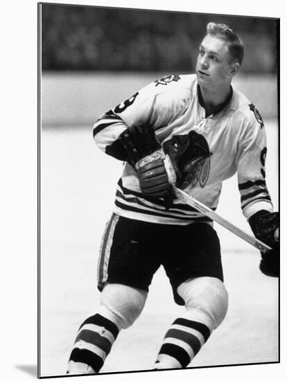 Chicago Black Hawk Ice Hockey Player Bobby Hull During Game-Art Rickerby-Mounted Premium Photographic Print
