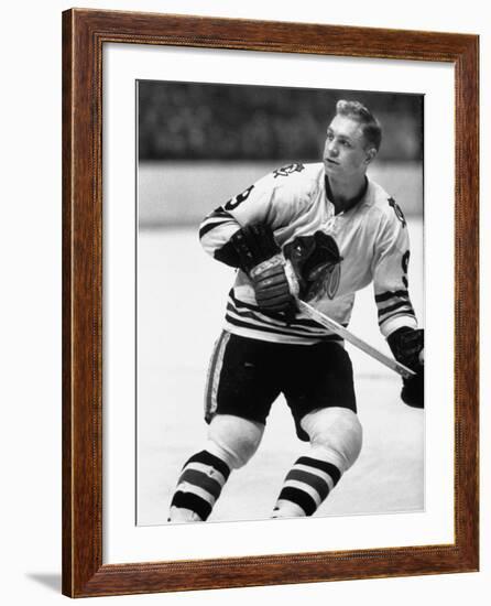 Chicago Black Hawk Ice Hockey Player Bobby Hull During Game-Art Rickerby-Framed Premium Photographic Print