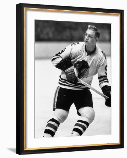 Chicago Black Hawk Ice Hockey Player Bobby Hull During Game-Art Rickerby-Framed Premium Photographic Print