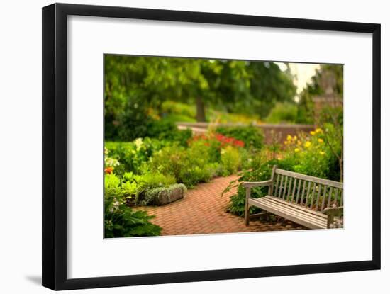 Chicago Botanic Garden Bench-Steve Gadomski-Framed Photographic Print