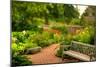 Chicago Botanic Garden Bench-Steve Gadomski-Mounted Photographic Print