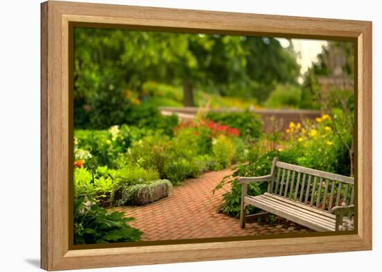 Chicago Botanic Garden Bench-Steve Gadomski-Framed Premier Image Canvas