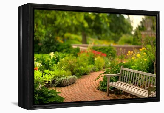 Chicago Botanic Garden Bench-Steve Gadomski-Framed Premier Image Canvas