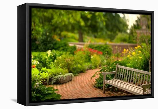 Chicago Botanic Garden Bench-Steve Gadomski-Framed Premier Image Canvas