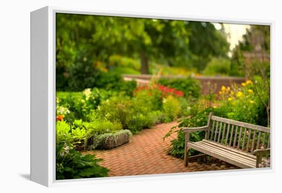 Chicago Botanic Garden Bench-Steve Gadomski-Framed Premier Image Canvas