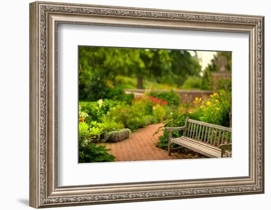 Chicago Botanic Garden Bench-Steve Gadomski-Framed Photographic Print