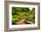 Chicago Botanic Garden Bench-Steve Gadomski-Framed Photographic Print