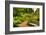 Chicago Botanic Garden Bench-Steve Gadomski-Framed Photographic Print