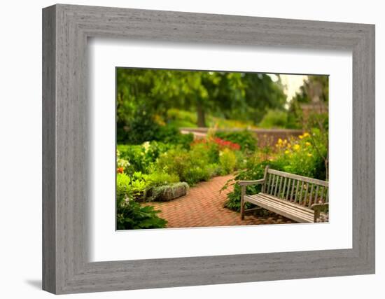 Chicago Botanic Garden Bench-Steve Gadomski-Framed Photographic Print