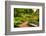 Chicago Botanic Garden Bench-Steve Gadomski-Framed Photographic Print