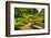 Chicago Botanic Garden Bench-Steve Gadomski-Framed Photographic Print