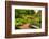 Chicago Botanic Garden Bench-Steve Gadomski-Framed Photographic Print