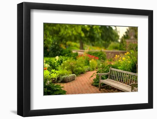 Chicago Botanic Garden Bench-Steve Gadomski-Framed Photographic Print