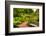 Chicago Botanic Garden Bench-Steve Gadomski-Framed Photographic Print